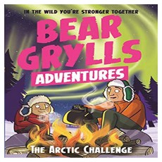 A Bear Grylls Adventure 11: The Arctic Challenge:, Bonnier Zaffre