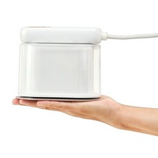 Cruar 一鍵式手持蒸汽熨斗, HS-8866, 白色