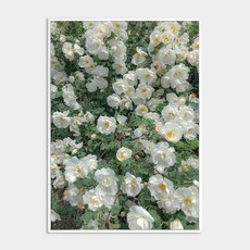 melting studio. 鋁製 我的歐洲時刻 相框組 108號 Among the flowers, 白色, 1個