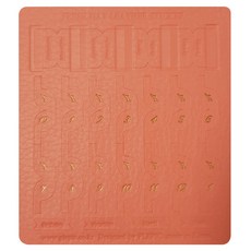 플레픽 프레쉬 데이 레더 인덱스 스티커 Coral Pink, 1개입, 1개