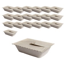 Daissyu 方形翼型紙漿沙拉甜點野餐便當盒 大型, 1入, 20個