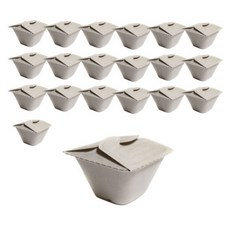 Daissyu 方形翼型紙漿沙拉甜點野餐便當盒 小型, 1入, 20個