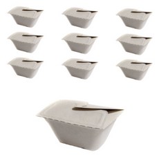 Daissyu 方形翼型紙漿沙拉甜點野餐便當盒 中型, 1入, 10個