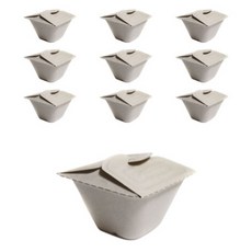 Daissyu 方形翼型紙漿沙拉甜點野餐便當盒 小型, 1入, 10個