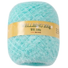 Yeonil纖維 養生絲瓜絡圓筒毛線 200g, 1個, 48薄荷綠