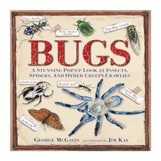 Bugs, Candlewick Press (MA)