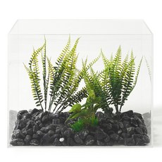 kmmmm 아크릴 투명 어항 + 흑자갈 + 잎 수초 + 줄기 수초 2p 세트, 혼합색상, 1세트