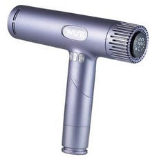 와이즈 아이레 고속 헤어 드라이기 1300W, WSH-001, 블루그레이
