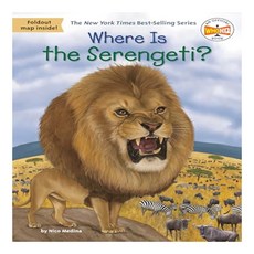 Where Is the Serengeti?, Penguin