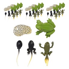 minhwashop 動物生命週期成長公仔 青蛙 S230142A, 混合顏色, 10個