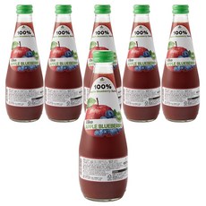 캐슬밸리 100 착즙 사과블루베리 주스, 6개, 300ml