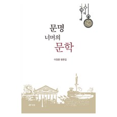 문명 너머의 문학:이정훈 평론집, 북랩, 이정훈
