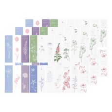 Maket Gamseong Nature Story 留言卡 20款 x 3入 組, 花與圖畫, 1套