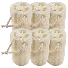 Kitchen9 Luffa天然植物絲瓜菜瓜布, 6入, 1個