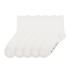 시슬리 심플 중목 5팩 SIDSPMDS-WH5