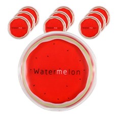 便攜式水果冰袋 西瓜 10 x 10 cm, 10個