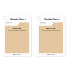 플레픽 썸네일 인덱스 잇 메모지, 임포턴트, 1개입, 2개