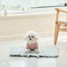 레드퍼피 강아지 라푸 쿠션, 멜론 그린, 1개