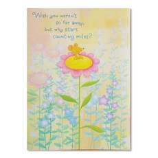 Hallmark 友情卡片組 F1080, 2套, 混合顏色