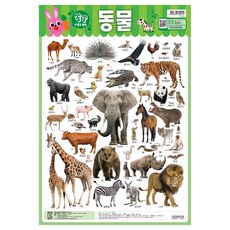 쏭쏭 사운드 벽보, 동물, KIDSNEAR