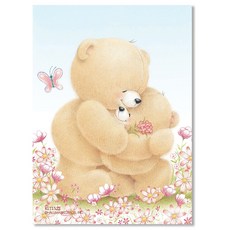 홀마크 곰돌이 편선지 4p + 봉투 2p KLT1522, 혼합색상, 4세트