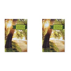 Hallmark 生日祝賀卡片組 GBD8991, 混合色, 2套