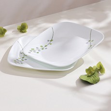 Corelle Brands 康寧餐具 Green Delight 方形盤 中, 2個, 單品, 混色