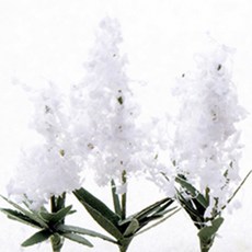 포레스 건축모형재료 디오라마 베이스 재료 유카꽃 소 3p, 혼합색상