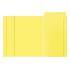 프롬앤투 컬러 편지지 20p + 봉투10p 세트 FL121, 연노랑(FL121-6), 1세트