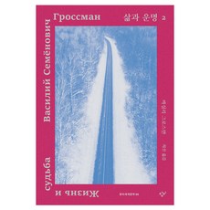 生活與命運 2, 創批, 瓦西里·格羅斯曼