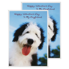 Hallmark 愛心卡片組 V745, 2套, 混色