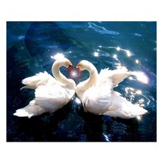 알로데 백조 커플 부부 보석십자수 30 x 40 cm DIY 세트 스퀘어큐빅, 07 눈부신투샷, 1세트