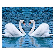 알로데 백조 커플 부부 보석십자수 30 x 40 cm DIY 세트 라운드큐빅, 13 눈인사, 1세트