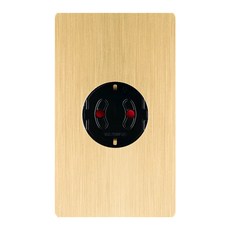 Wonha Ace Palette 崁入式插座 1孔 金色, 1個