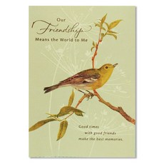 Hallmark 生日快樂卡片套組 HBD1693, 混合顏色, 1套