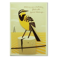 Hallmark 生日賀卡組 HBD1409, 混合顏色, 1套