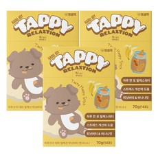 펫생각 강아지 하루조이 테피 영양제, 14회분, 스트레스완화/안정/집중력관리, 3개