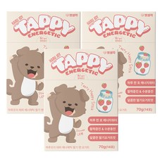 펫생각 강아지 하루조이 테피 영양제, 14회분, 활력, 3개