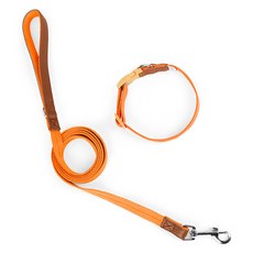 파스텔펫 반려동물 포인트 레더 목줄리드줄, 오렌지, 1개