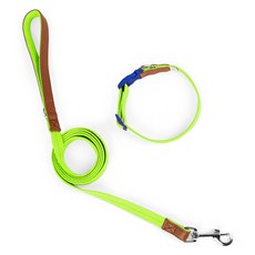 파스텔펫 반려동물 포인트 레더 목줄리드줄, 그린, 1개