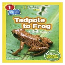 Tadpole to Frog (Readers Level 1), National Geographic Kids