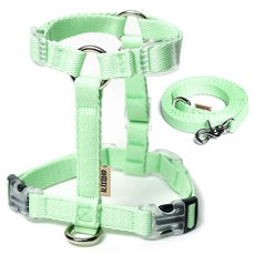 ATTI FRIEND 狗狗防前衝H型胸背帶 + 織帶牽繩套組, 葉綠色, 1套