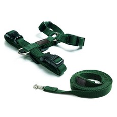 ATTI FRIEND 狗狗防前衝H型胸背帶 + 織帶牽繩套組, 橄欖綠, 1套