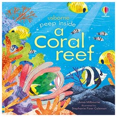 Peep Inside a Coral Reef, Usborne Publishing
