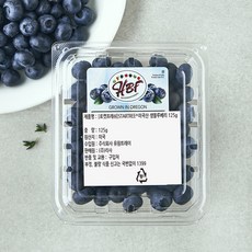 STARTREE 미국산 생블루베리, 1개, 125g