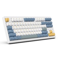 한성컴퓨터 듀얼 8K 가스켓 마그네틱 게이밍 기계식 유무선 텐키리스 키보드, Surfyy, TFG Magnetox XL, 마그네틱축(자석축)