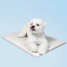 베베페페 강아지 대리석 쿨매트 엔지니어드스톤, 스노우, 1개