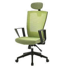 에넥스 보우 메쉬 시스템 의자, 그린 + 블랙바디