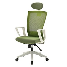 에넥스 보우 메쉬 시스템 의자, 그린 + 화이트바디