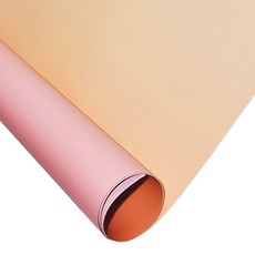 대한 소품 촬영용 그라데이션 배경지 인스타 음식 사진 스튜디오 뒷 배경지, 블러시로즈, 1개